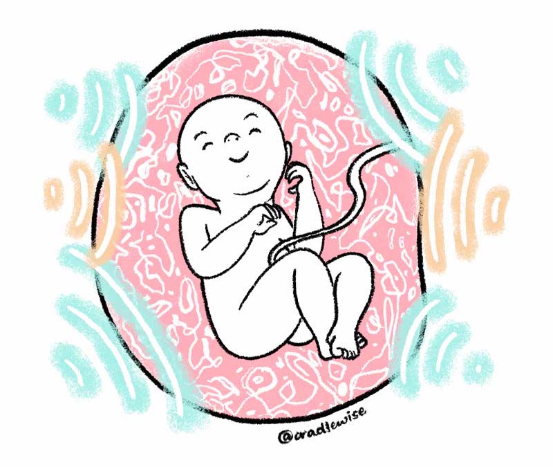 When Babies Can Hear in the Womb and Hear You