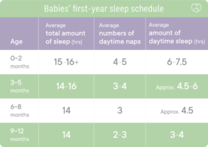 When do babies drop to one nap? 6 tell-tale signs