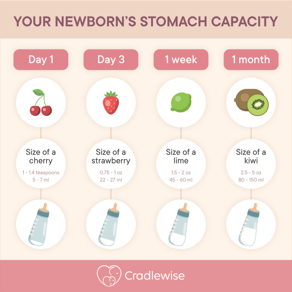 Baby stomach size chart