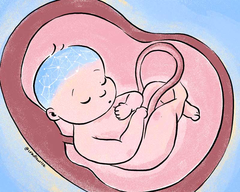 Do babies sleep in the womb